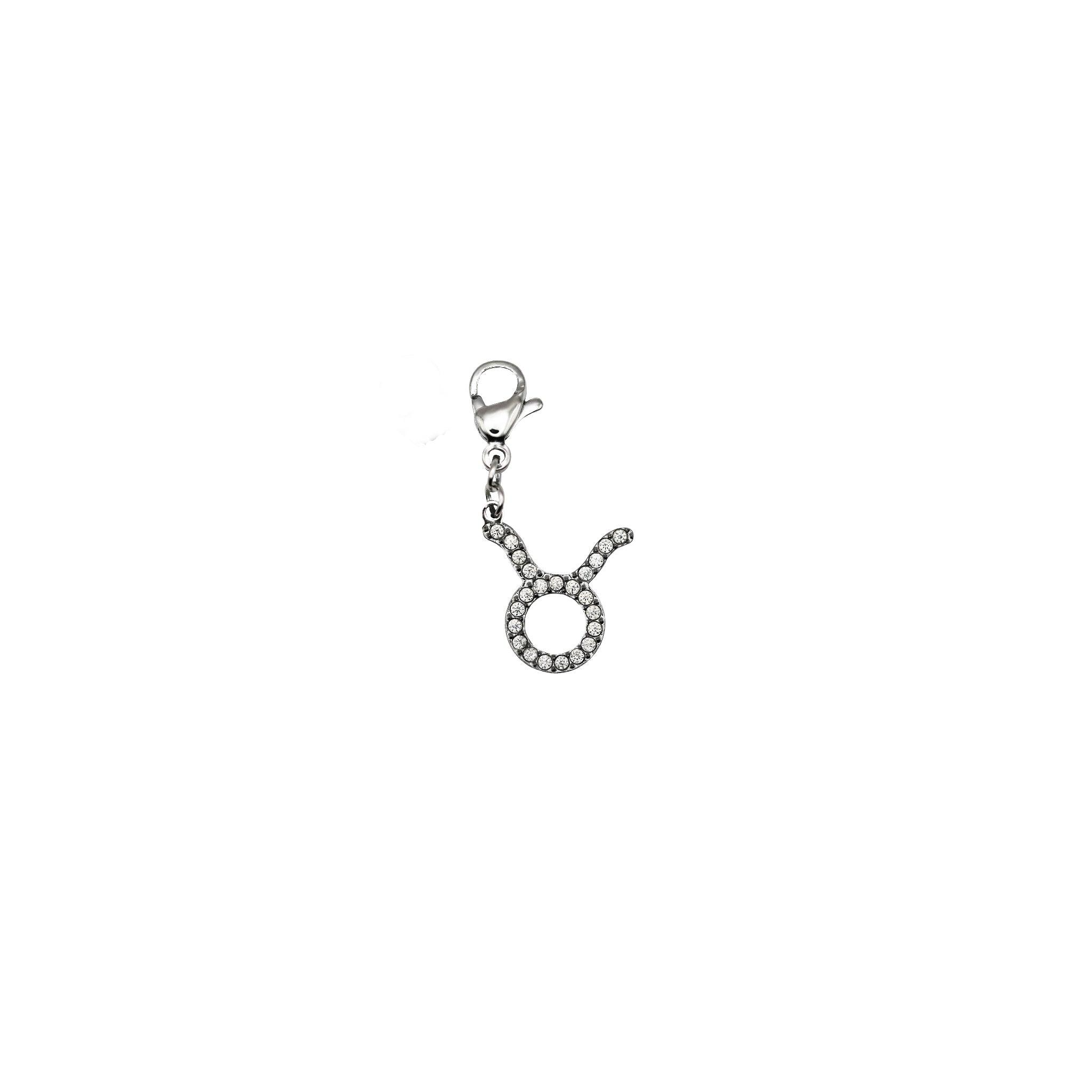 CHARMS SIGNES ASTRO